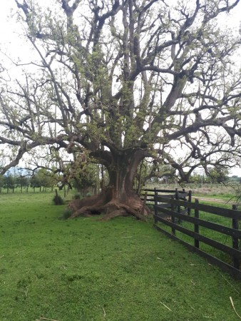 VENTA 9.5 Ha en San Miguel del Monte