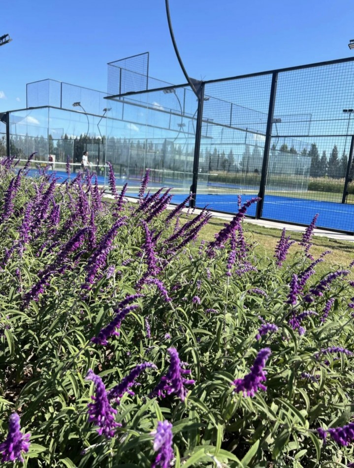 VENTA - LOTE  BARRIO PRIVADO "LAS VICTORIAS"