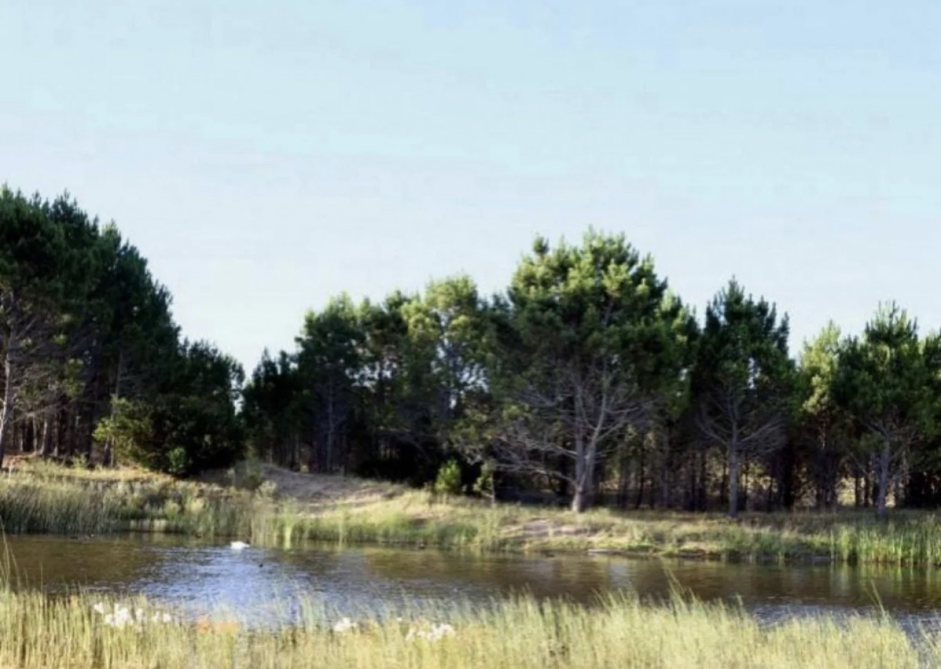 VENTA - LOTE NORTH BEACH PINAMAR