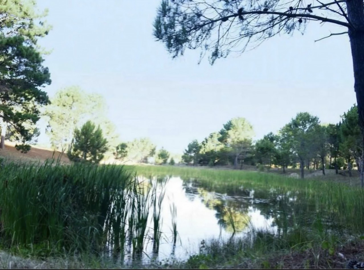 VENTA - LOTE NORTH BEACH PINAMAR