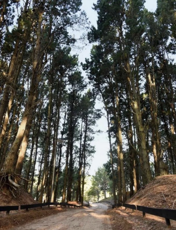 VENTA - LOTE NORTH BEACH PINAMAR