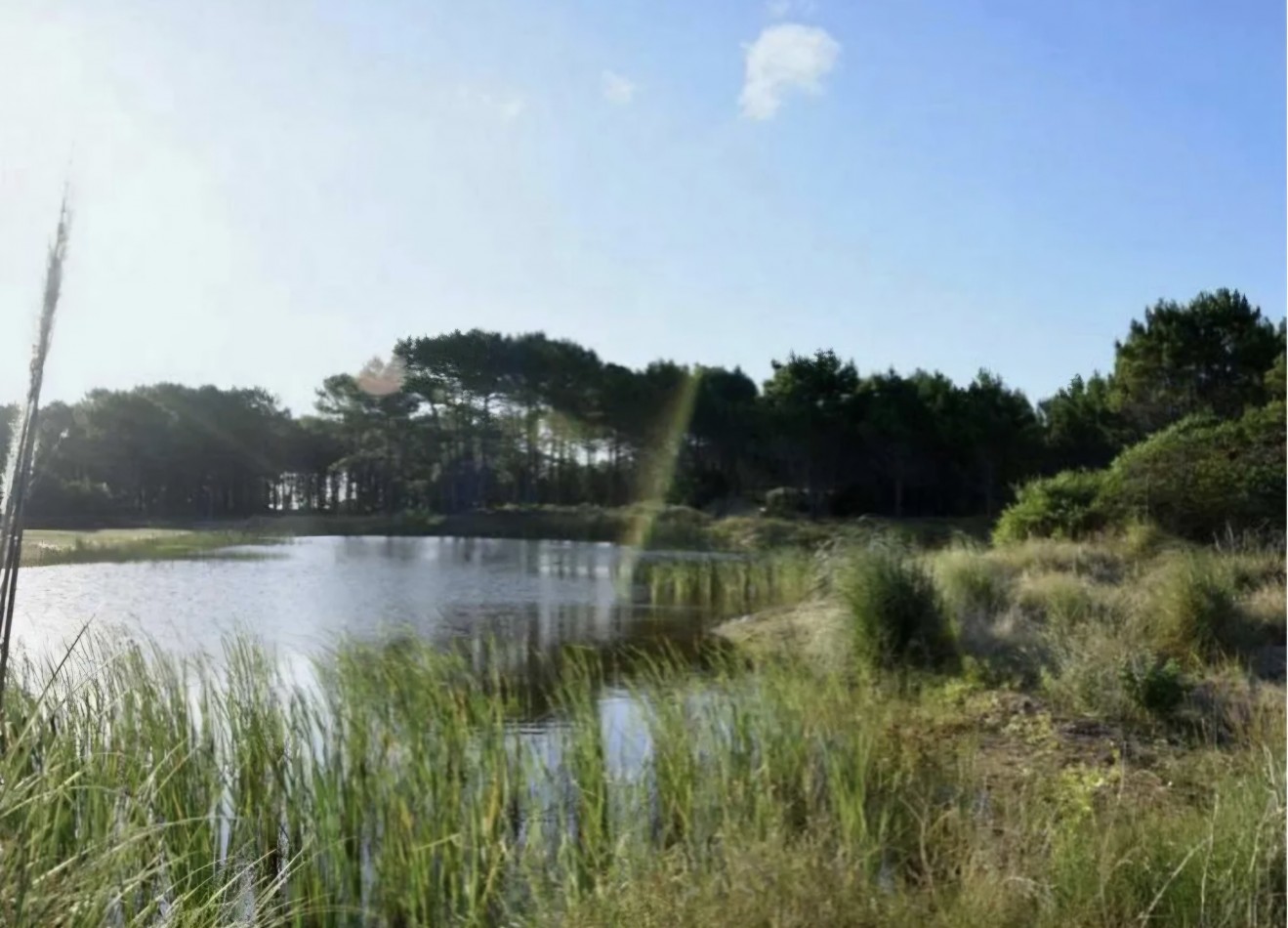 VENTA - LOTE NORTH BEACH PINAMAR