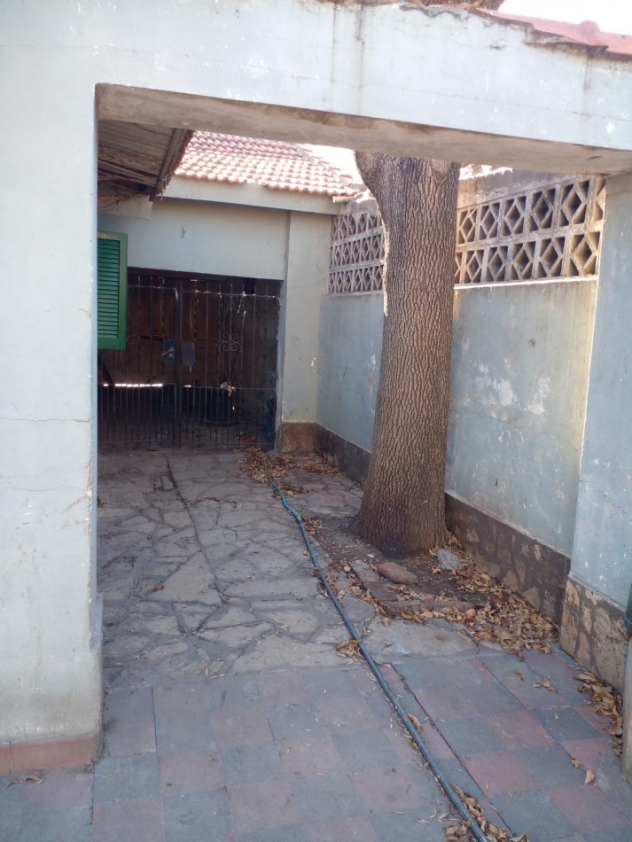 ALQUILER -  CASA CON TERRENO